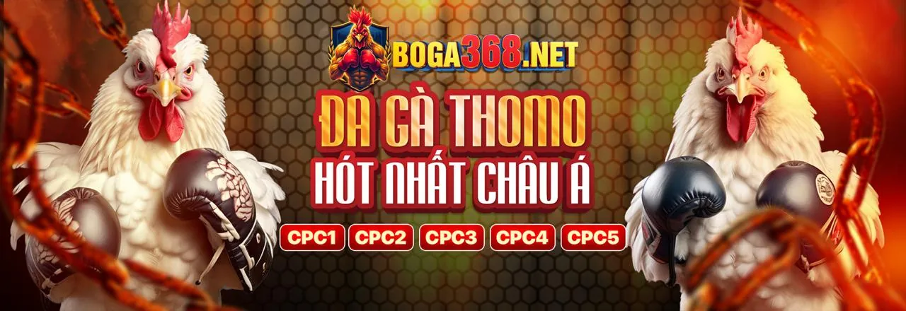 Đá gà W88 trực tuyến kịch tính